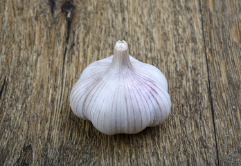 Garlic