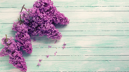 Background  with  lilac flowers