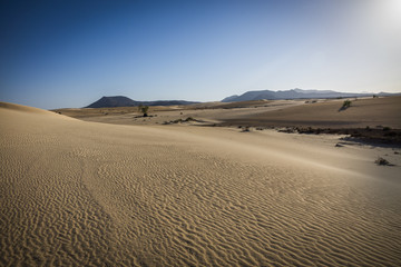 Sand patterns Natural park,Corralejo,Canary-islands,Spain
