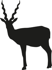 Antelope silhouette