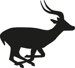 Running antelope - obrazy, fototapety, plakaty
