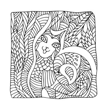 Decorative hand drawn cat in square doodle