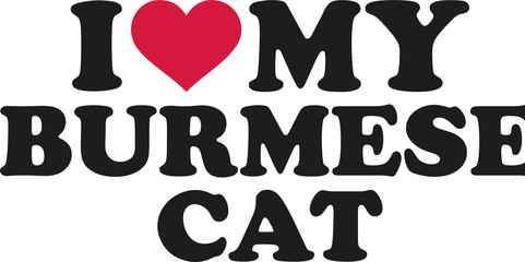 I love my burmese cat