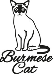 Burmese cat with breed name