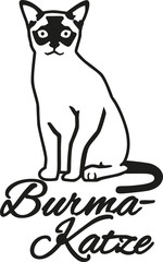 Burmese cat with german name