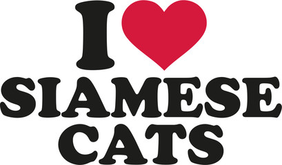 I love siamese cats