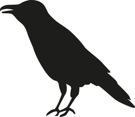 Crow silhouette