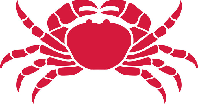 Red cancer crab