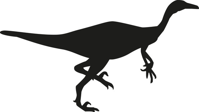 Dinosaur trodon silhouette
