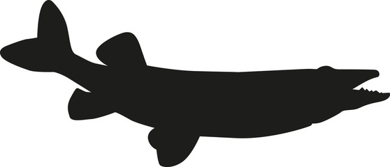 Pike silhouette