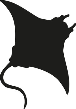 Manta Ray silhouette