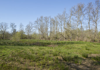 Park do caminho fundo,Portugal.
