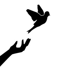 Silhouette of the human hand, which releases the bird and the bird flies