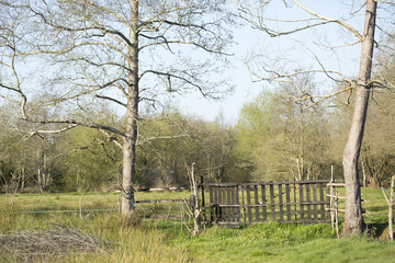 Fototapeta premium Park do caminho fundo,Portugal. 