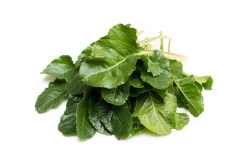 Bietole fresche su fondo bianco