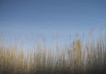 Fototapeta premium Park do caminho fundo,Portugal. 