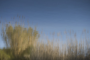 Park do caminho fundo,Portugal.
