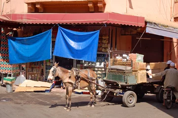 Tableaux ronds sur aluminium brossé Âne Morocco, a cart with a donkey, unloading of goods