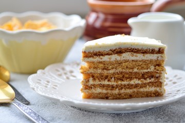honey cake on the mirror surface sprinkled with powdered sugar