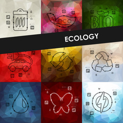 ecology timeline infographics with blurred background