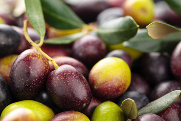 Fresh olives.