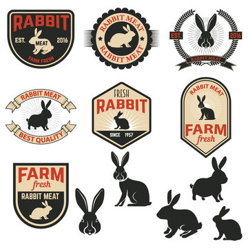 Set of rabbit meat labels, badges and design elements.