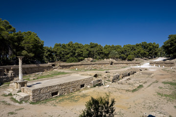 Fototapeta na wymiar Tunisia. Ancient Carthage. Oval arena of amphitheatre surrounded by pine forest