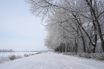 Obraz premium road