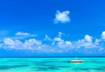Obraz premium tropical beach in Maldives