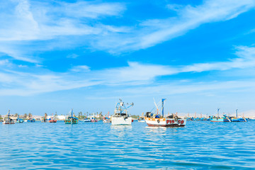 Naklejka premium Paracas Peru