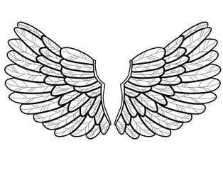 Wings vector isolated on white, ali vettoriali isolate su sfondo bianco