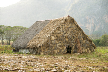 Chata do suszenia tytoniu na Kubie w dolinie Vinales © pabisiak