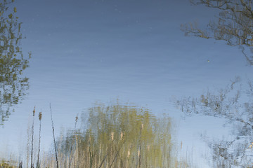 Park do caminho fundo,Portugal.
