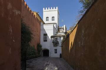 paseando por las antiguos calles de la judería de Sevilla y hoy llamado barrio de Santacruz