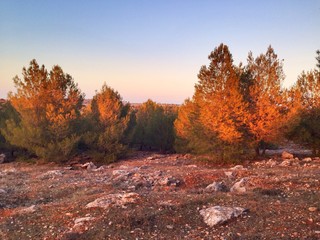 Los colores del atardecer