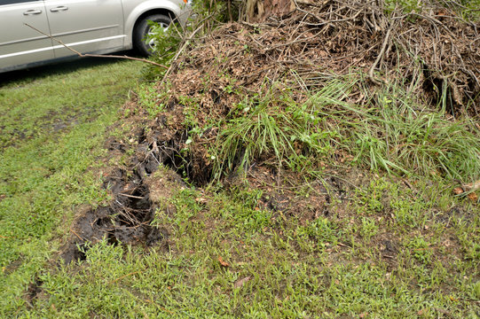 EF0 Tornado Damage in North Florida