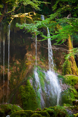 Deep forest waterfall.