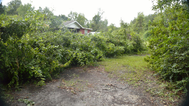 EF0 Tornado Damage in North Florida