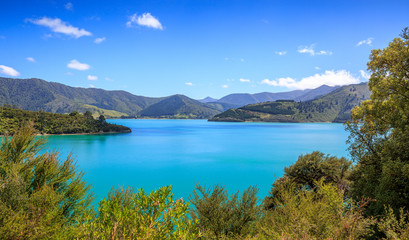 Obraz premium Queens Charlotte Sound mountains and blue sea