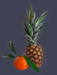 fresh orange and pineapple isolated. space for text.