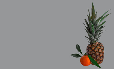 fresh citrus and pineapple. space for text.