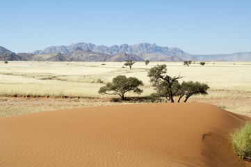  Africa Namibia, The Namib desert sand dunes at Sossusviei some of the highest in the world
