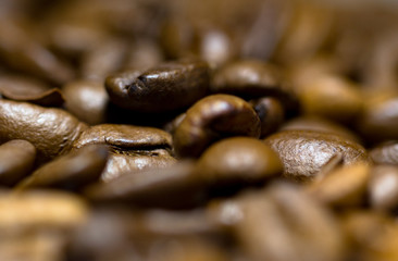 Coffe cup and seeds