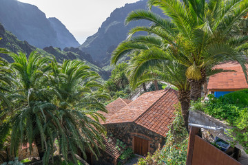 Fototapeta na wymiar Masca Village in Tenerife, Canary Islands, Spain