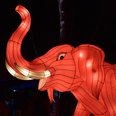Fototapeta premium part of pink elephant lamp