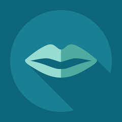 Flat modern design with shadow icons lip