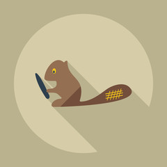 Flat modern design with shadow icons beaver