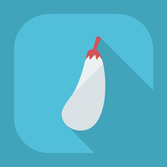 Flat modern design with shadow icons eggplant