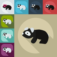 Flat modern design with shadow icons pandas