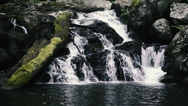 Waterfall in Lamington National Park in Queensland, Australia.